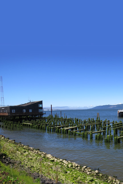 pilings in the columbia