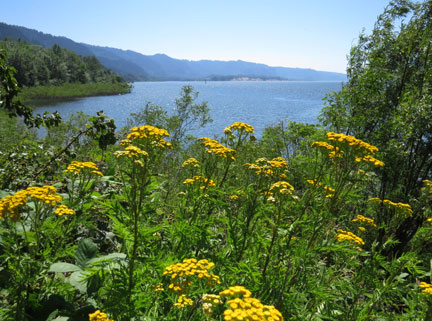 columbia river beach
