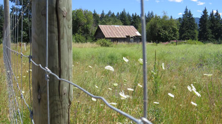 barn in field