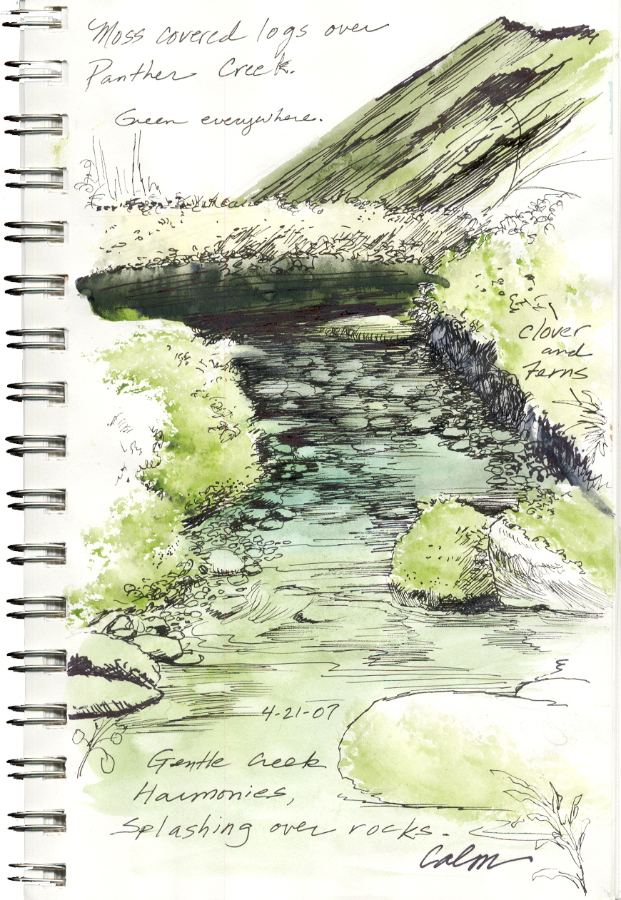 nature journal creek drawing