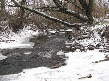 creek and snow