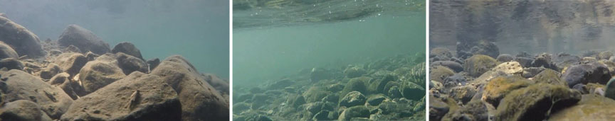 underwater photos of herman creek